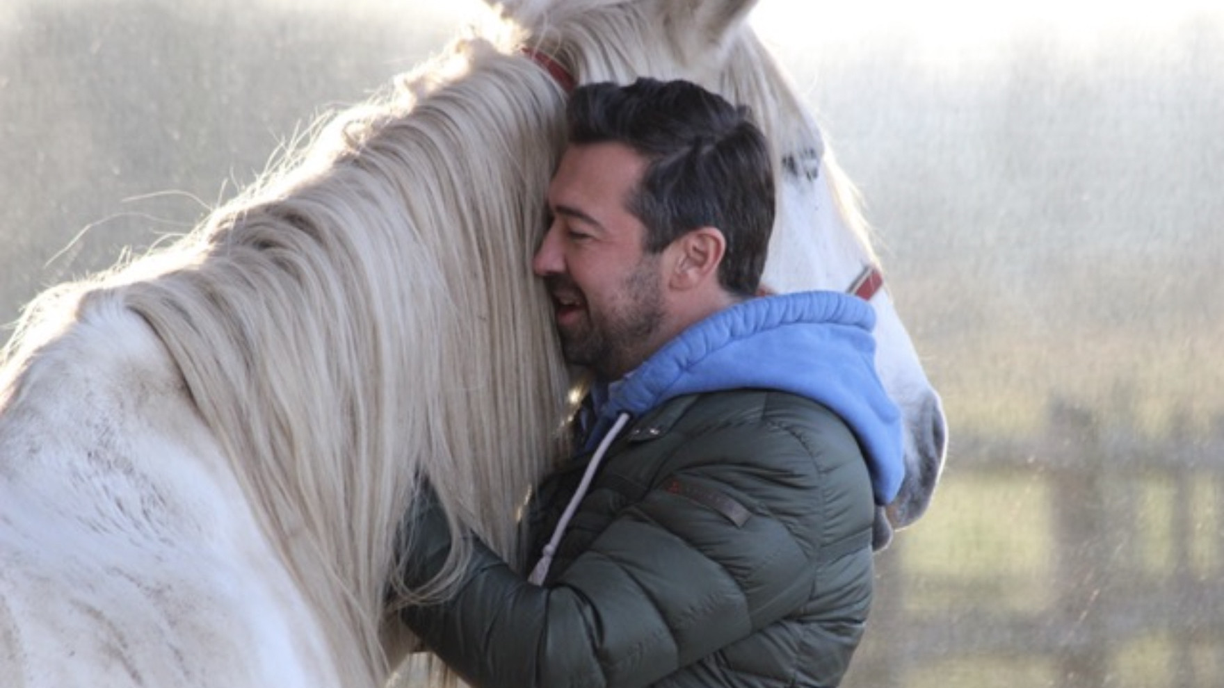 blog_paard_als_spiegel_1.jpg